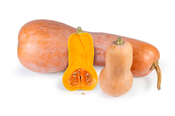 istock Two whole and half of butternut squash different sizes 1076583170