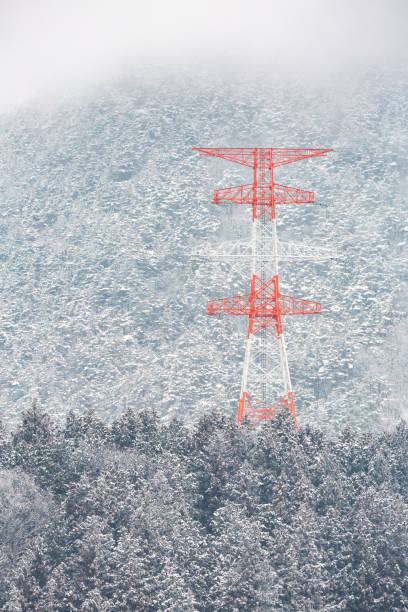 istock electric pole Winter Landscape 1076591234