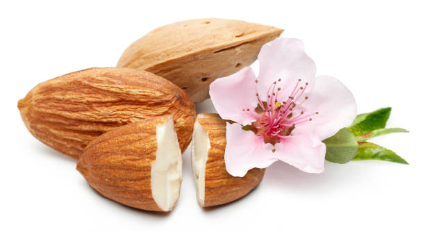 almendra con flores y hojas, aisladas sobre fondo blanco. - unshelled fotografías e imágenes de stock