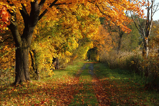 istock czech color autumn country 1076605968