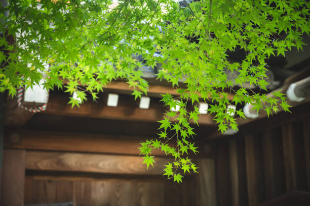 istock landscape in the kyoto japan 1076606338