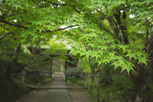 istock landscape in the kyoto japan 1076606716
