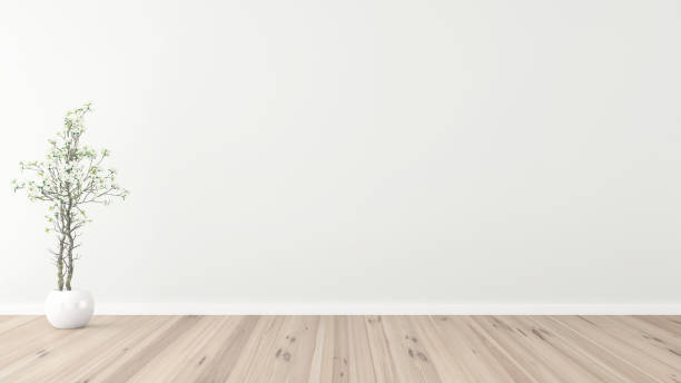 istock Empty interior white wooden floor white wall, empty space, with plant 1076608648