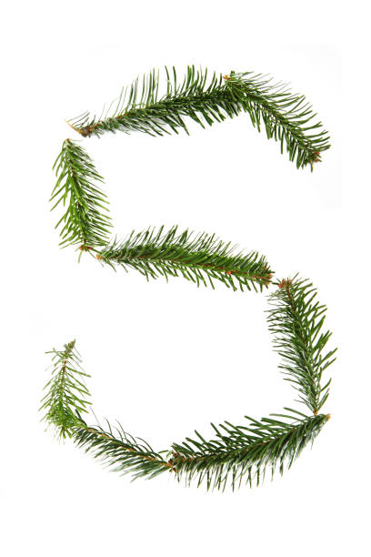 istock S - symbol from christmas alphabet 1076613734