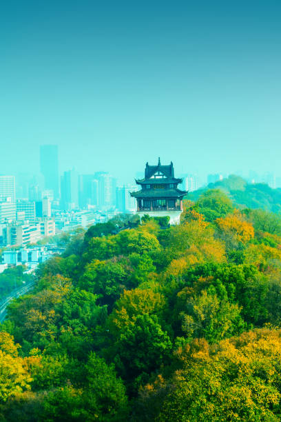 istock China Ancient Tower in Hill 1076617720