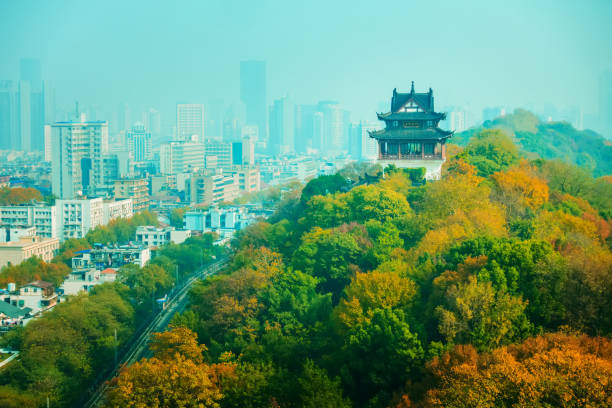 China Ancient Tower in Hill