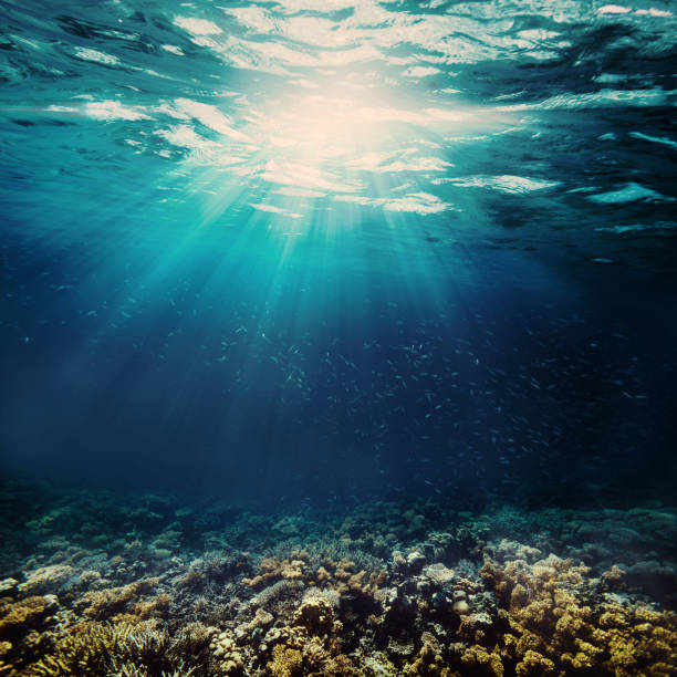 istock a background sand on the beach underwater 1076621262