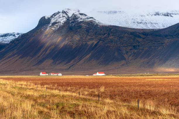 istock Rural Landscape in Iceland with a Towering Mountain in Background 1076626032