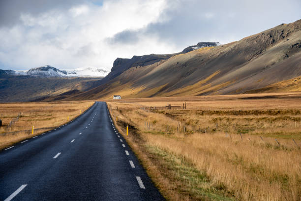 istock Empty Road through a Mountain Valley in Iceland on a Cloudy Day 1076627070