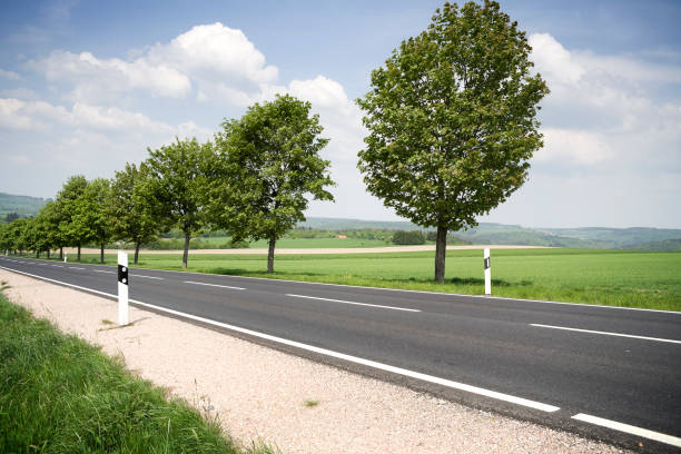 Country road and trees, typical german landscape