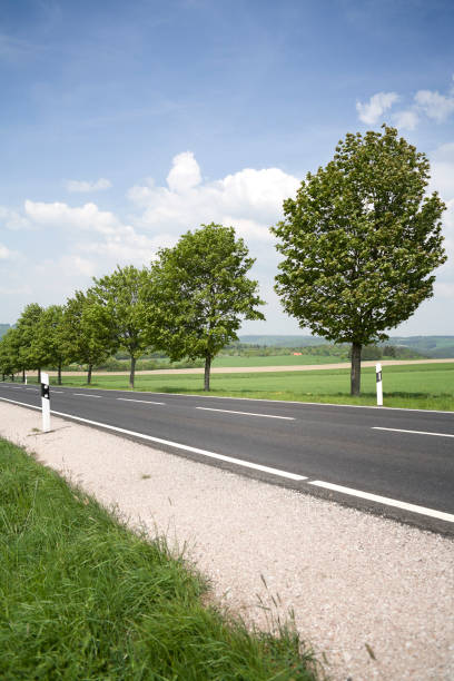 Country road and trees, typical german landscape