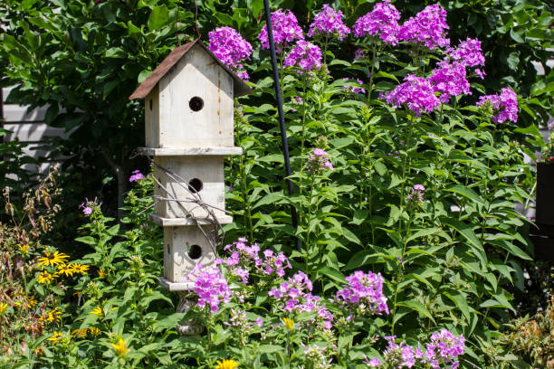 jardín de otoño con el baño del pájaro - birdhouse bird house ornamental garden fotografías e imágenes de stock