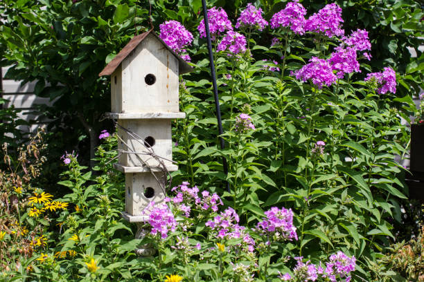 istock Autumn Garden With Bird Bath 1076632822