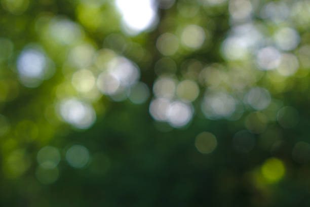 istock Bokeh background in mainly green color 1076633054