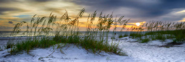 vista panoramica del sole che tramonta su holmes beach, anna maria island, contea di manatee, america - costa del golfo degli stati uniti damerica foto e immagini stock