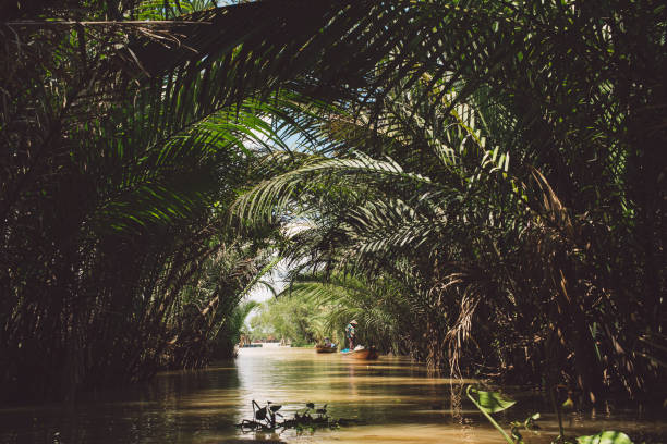 istock Canal Amidst Trees At Forest 1076665038