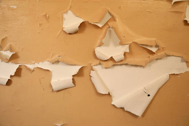 istock Paint the walls loose 1076681438