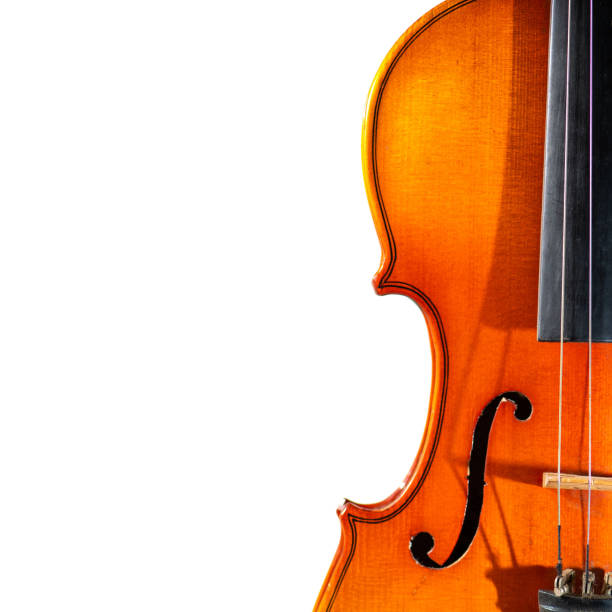 istock Detail of old violin on a white background 1076681464