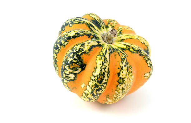 istock mini pumpkins on white isolated background. orange green. 1076685052
