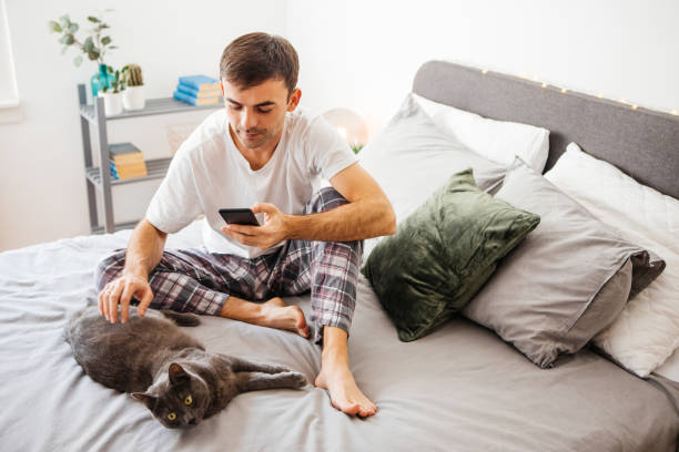 istock Man in bed with his adorable cat 1076686644