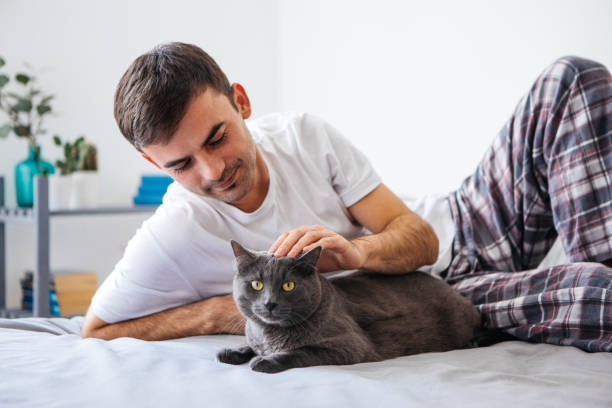 istock Man in bed with his adorable cat 1076688232