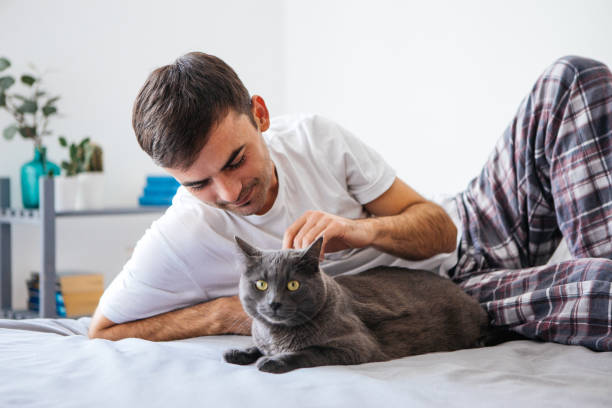 istock Man in bed with his adorable cat 1076688236