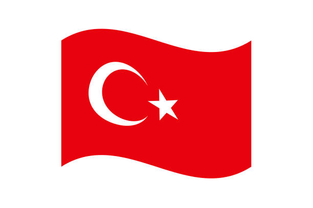 вектор флага турции - crescent east istanbul ankara stock illustrations