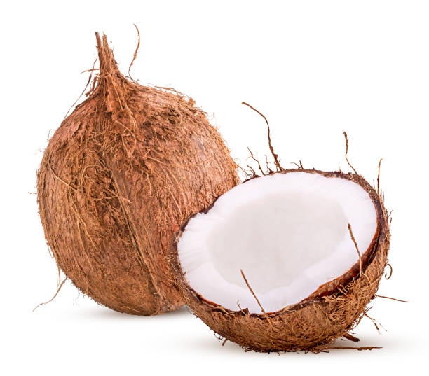 istock Freshly coconut whole in shell and cut in half 1076688386