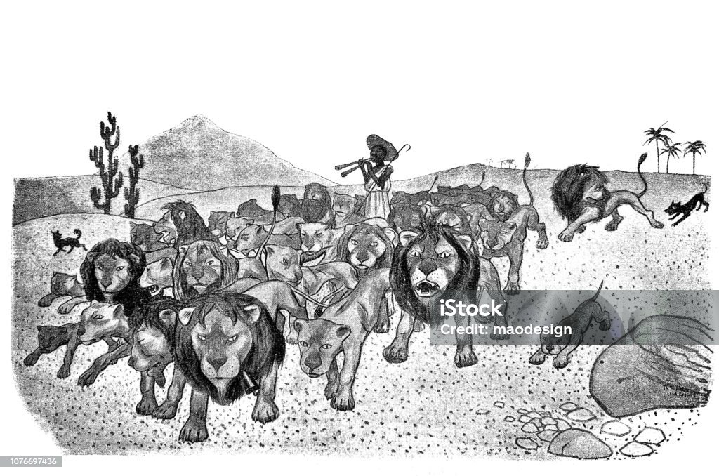 Herd of trained lions listens to the orders of the shepherd - 1896 Education Training Class stock illustration