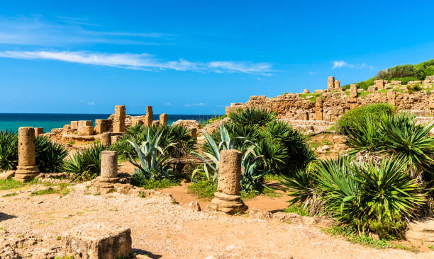 Ruins of Tipasa, a Roman colonia in Algeria, North Africa Ruins of Tipasa, a Roman colonia in Mauretania Caesariensis. Algeria, North Africa algeria stock pictures, royalty-free photos & images