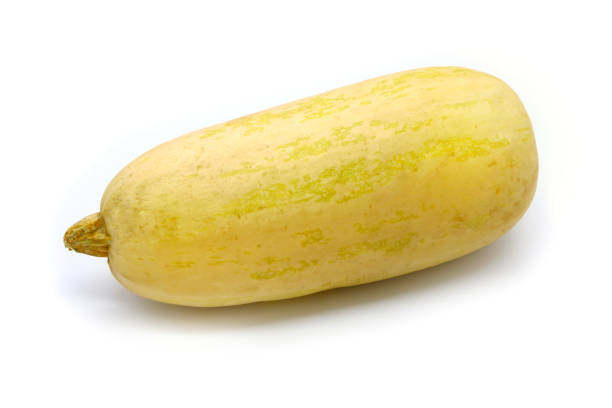 istock large ripe zucchini on a white background 1076700476