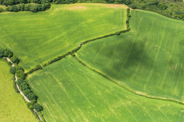 istock aerial views over Farmland, Cornwall on a bright sunny June day. 1076706144