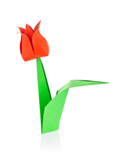 istock Red tulip of origami 1076724976