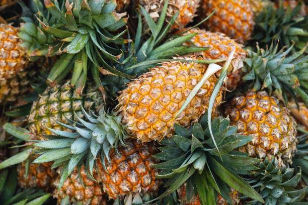 istock Background with a heap of ripe pineapples 1076729918