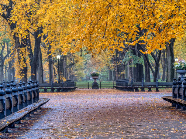 istock Central Park Mall in autumn 1076736586
