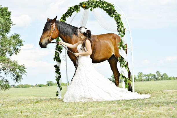 una hermosa novia posando con su caballo del animal doméstico - honeymoon wedding paris france bride fotografías e imágenes de stock