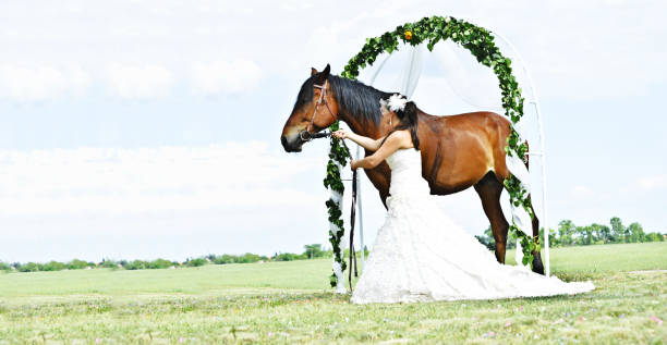 красивая нев�еста позирует со своим питомцем лошадь - honeymoon wedding paris france bride стоковые фото и изображения