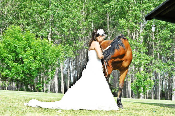 A Beautiful Bride With Her Pet Horse