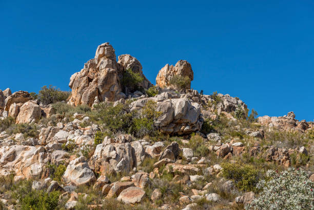 istock Klipspringer ram and ewe on the trail to Maltese Cross 1076763178
