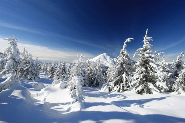 istock Snow on the trees. Winter, mountain landscape 1076766164