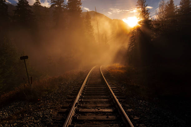 Into the sunset Train tracks in fog and sunshine with san rays breaking through pemberton bc stock pictures, royalty-free photos & images