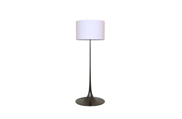 istock 3D illustration of a beautiful floor lamp on a White background 1076784508