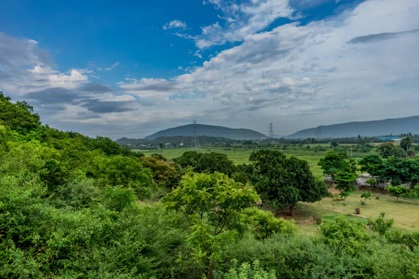 istock top view of greenery park looking awesome covered by forest. 1076788816
