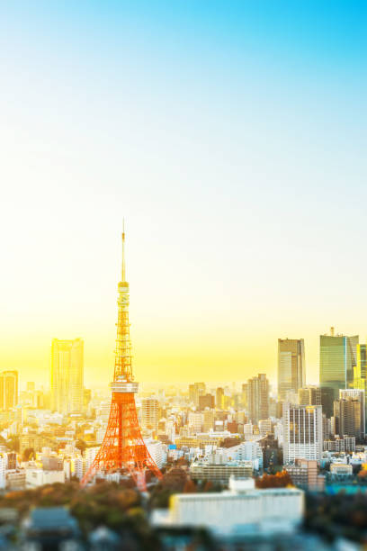 istock tokyo skyline aerial view with tilt shift effect 1076801124