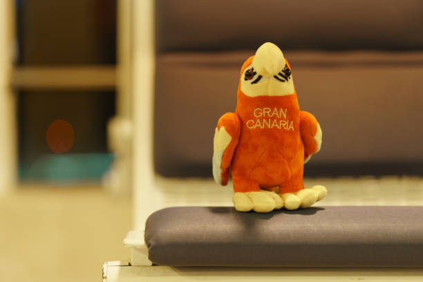 Image of a Grand Canaria parrot-toy