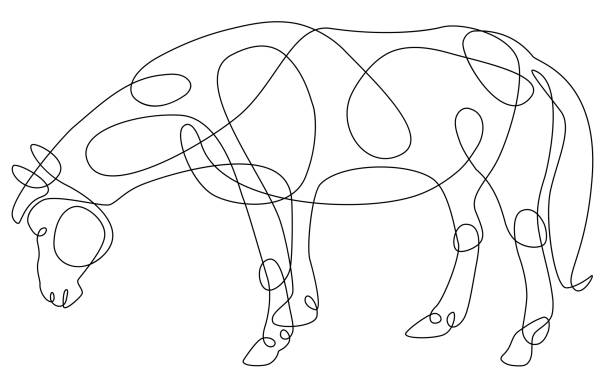 Ilustración de Sola Línea Animal Dibujo Caballo y más Vectores Libres de  Derechos de Caballo - Familia del caballo - Caballo - Familia del caballo,  Diseño de trazado, Línea recta - iStock