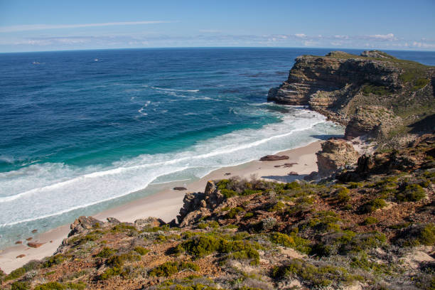 istock Cape of good hope Cape peninsula 1076814224
