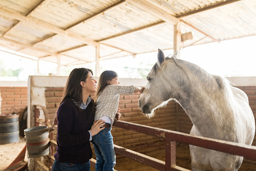 Happy Caucasian mother and daughter showing fondness towards horse in stable