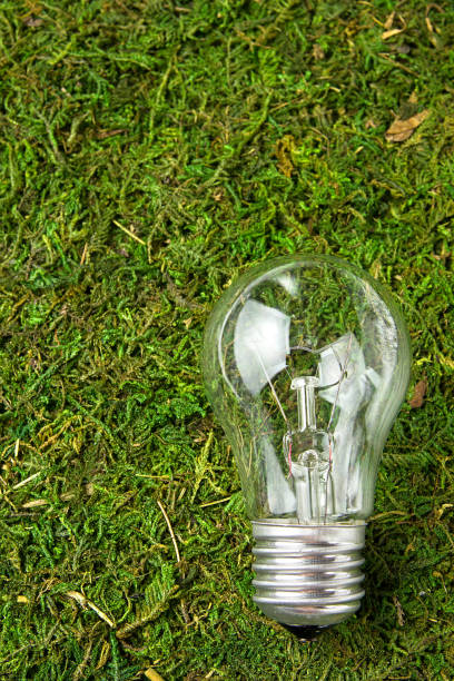 istock Concept ecology. Light bulb on green natural moss with copy space 1076816008