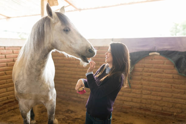 istock Happy Owner With Equine In Ranch 1076818560